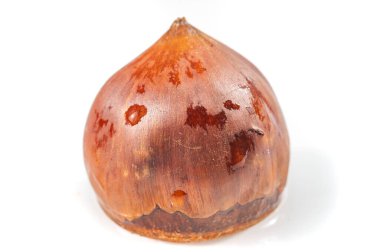 Bu kestane ağacının altın tonları temiz beyaz bir tuval üzerinde canlanıyor ve doğanın karmaşık ayrıntılarını yakından ortaya koyuyor. Makrofotoğrafçılık