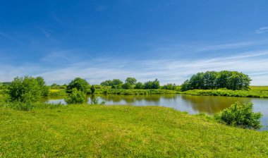 Yaz manzarası, bunaltıcı yaz günleri, ılık suyla dolu bir göl, ılık kuzey yarımkürede yaşayan fındık ağacı. Çalılar