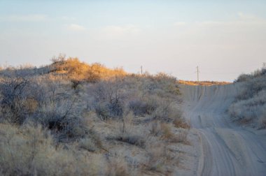 Sonbahar. Steppe. Gün batımı. Kumullar. Gün sona erdiğinde çöl sıcacık renklerle canlanır. Bu büyüleyici çöl günbatımının huzur ve görkeminin tadını çıkarın..