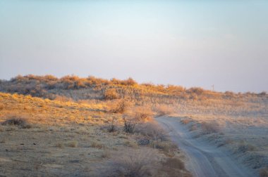 Kum denizine dal ve bırak endişelerin eriyip gitsin! Güneş ufkun altına batarken bozkırın sakin güzelliğinde rahatlayın. Gökyüzünü turuncu ve pembe renkli canlı tonlarda boyayın..