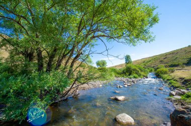 Kendini bir dağ nehrinin büyüleyici güzelliğine daldır. Su tarafından taşınan antik sihrin fısıltılarını dinle. Doğa dansının sonsuz güzelliğini ve dinginliğini tecrübe et..