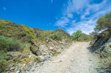 Dağlık toprak bir yolun engebeli arazisini ve güzel manzarasını keşfedin. Bu heyecan verici macerada off-road sürüş yeteneklerini test et. Heyecanı ve adrenalini hisset.