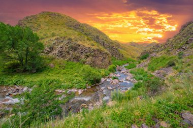 Kayalık kanyonda doğanın görkemli güzelliğini tecrübe edin. Dağlardan zarif bir şekilde akan nehrin rahatlatıcı sesine kulak verin. Dağ manzarası nefes kesici.
