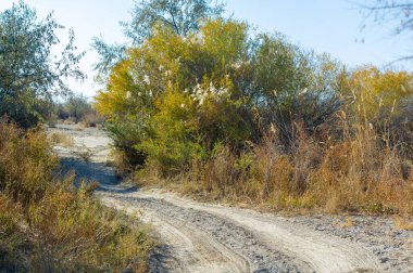 Toprak bir yolculukta sonbaharın nefes kesici güzelliğini tecrübe edin. Gizli harikalar ve nefes kesici çayır manzaraları keşfetmek. Kendini doğanın saf güzelliğine daldır..