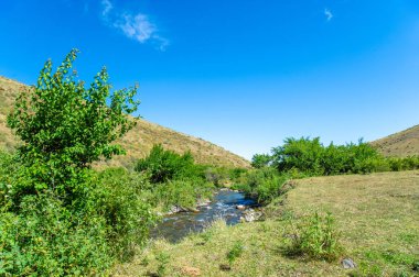 Kayalık kanyonlarda akan nehrin huzurlu güzelliği. Kendinizi dağ manzaralarının doğal harikalarına daldırın. Kayaların üzerinden akan suyun rahatlatıcı sesi..