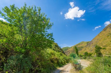Dağlarda toprak bir yolda off-road sürmenin heyecanını yaşayın. Yol boyunca nefes kesici manzaralar ve manzaralar hayranlık uyandırıcı. Zorlu arazide ve dik tırmanışlarda kendinizi zorlayın..