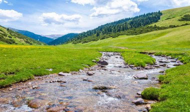Dağlarda yaz. Dağlık arazide bir nehir. Yaz manzarası. Binlerce yorgun, sinirli, aşırı medeni insan, dağlara gitmenin eve gitmek demek olduğunu anlamaya başlıyor..