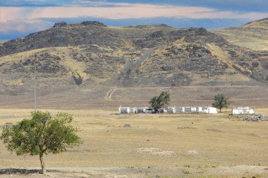Çayır, düz, çöl. Barış çorak alanlarda bulunur. Kaos dolu bir dünyada, çöldeki bu yalnız ağaç doğanın sunduğu barışın bir göstergesidir. Doğa Barış, Çöl Kaçışı