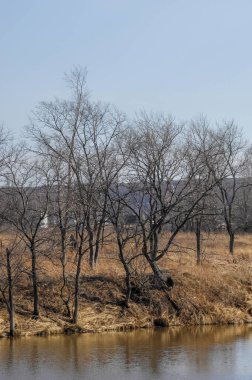 Kış buzları eridiğinde nehir özgürce akar. Ağaçlar yavaşça yeni yapraklar seriyorlar. Baharın gelişini işaret ediyor. Yeni yeşillikler ortaya çıktıkça geçen yılın sarı çimenleri kuruyor..