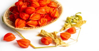 Physalis sidik torbası kirazı, Çin feneri, Japon feneri, Çilek Çileği, Japonya, parlak ve fener benzeri meyve kapları Bon festivalinin geleneksel bir bölümünü oluşturur.