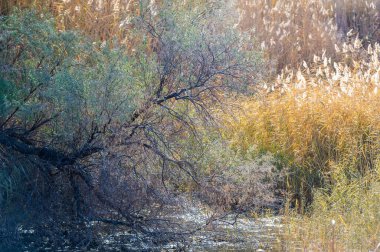 Sonbahar, Steppe. Çayırlar. Uçsuz bucaksız bozkırın el değmemiş güzelliğini, bereketli, kuru otlaklarıyla, antik çayırların hikayelerini fısıldayarak yaşayın. Bu bilinmeyen manzara duyularınızı saracak..