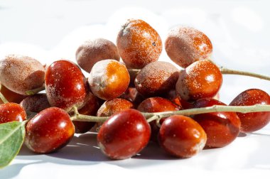 Genellikle göl ya da Rus zeytini olarak bilinir. Meyveler temel besin ve antioksidan açısından zengindir. Geleneksel tıpta çeşitli sağlık faydaları için kullanılır. Bal eşsiz tadı için değerlidir..