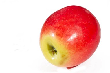 Kandil elmalarının eşsiz bir çeşidi, sulu ve aromatik tadı ile bilinir. Vitamin açısından zengin. Bu onu harika sağlıklı bir atıştırma seçeneği yapar. Yüksek büyüme potansiyeli olan bahçıvanlık için mükemmel..