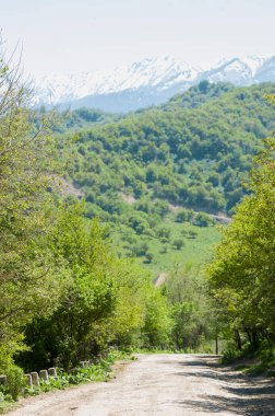 İlkbahar dağlarda Dağların ihtişamı tüm yıl boyunca sihirlidir. İlkbaharda çiçek açan bahar mevsiminde yemyeşil patikalar sonbaharda alevli yapraklar ve karla kaplı zirveler.