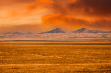 Steppe, Prairie, sade, pampa. Büyüleyici günbatımının tadını çıkarırken, sizi sıcak bir çöl rüzgârı gibi saran huzuru hissedin. Günbatımı Sihirli Çöl Rüyaları