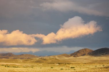 Steppe, Prairie, sade, pampa. Gün batımında, çayırda güneş ufuktan kayarken geride hüzün ve yeni bir şafağın hayallerini bırakarak yas tutuyor. Günbatımını Solace
