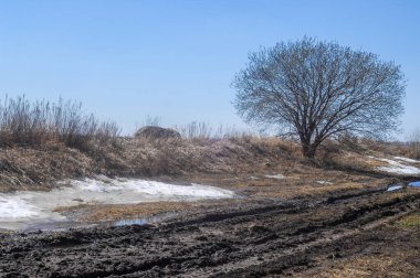 Sarı alanlar karın son kalıntılarıyla tezat oluşturuyor. Ağaçlar gri gökyüzüne karşı çırılçıplak duruyor. Manzara kıştan bahara geçişi gösteriyor..