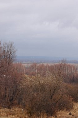 Sarı alanlar beyaz karla tezat oluşturuyor. Ağaçlar soğuk bir kış manzarasının arka planında çıplak duruyor. Kıştan bahara geçiş dönemi bir sahnede çekilir..