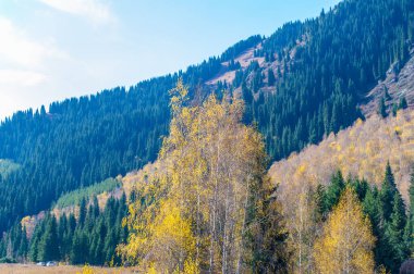 Tien Shan Dağları 'nın engebeli güzelliğini keşfedin. Huş ağacı patikalarında dolaş. Nefes kesici çam ağaçlarının sükunetini hisset. Kayalar arasında heyecan verici bir maceraya atılın..
