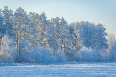Açık mavi bir gökyüzünün altında karla kaplı bir tarlanın güzelliğini hissedin. Kendini kışın saf hazzına daldır. Her adım karın içinde yürürken tatmin edici bir çıtırtı bırakır..