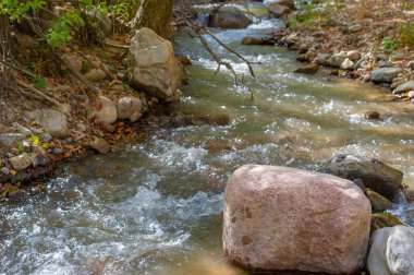 Doğanın eserlerinin güzelliğini büyüleyici bir dağ deresinde tecrübe edin. Kayaların arasından akan suyun rahatlatıcı sesi huzurlu bir atmosfer yaratır..