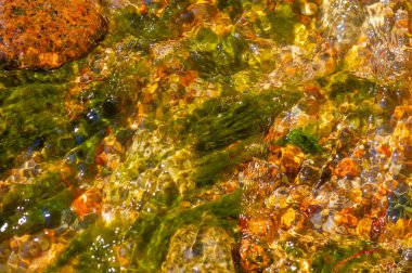 Kendinizi el değmemiş vahşi doğaya daldırın ve bir dağ akıntısının büyüleyici güzelliğini tecrübe edin. Suyun büyüleyici dansına tanık olun. Her taşın üzerinde zarafetle akıyor..