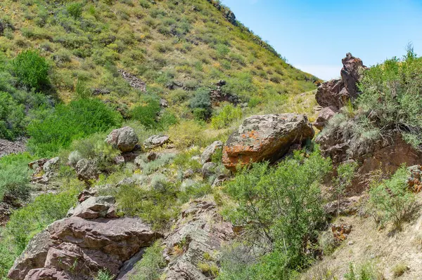 Off-road meraklıları için ideal. Zorlu arazide sürmenin heyecanını yaşayın. Resimli dağ manzaralarını keşfetmek.