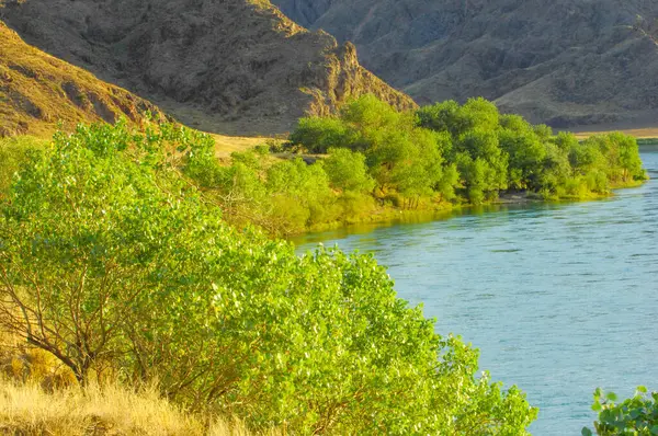 stock image Feel the power of nature in the summer steppe. Discover the beauty and power of a mountain river. Join us on an unforgettable journey into the heart of the wild.