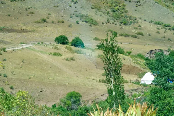 Çoban yurdunda geleneksel Kazak göçebe yaşam tarzı. Benzersiz bir çevrede kalırken nefes kesici dağ manzarası. Kendinizi Kazak halkının kültürüne ve geleneklerine kaptırın..