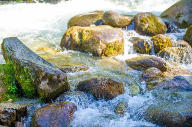 Kendini bir dağ deresinin rahatlatıcı sesine daldır. Doğanın senfonisini büyüleyici melodilerle hissedin. Bereketli yeşil manzaralarla serenat yapmak.