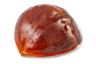 Bir kestanenin güzelliğini ve tadını tatmak. Zengin dokuların ve toprak tonların tadını çıkar. Sağlıklı iyiliğin ve doğal zarafetin sembolü..