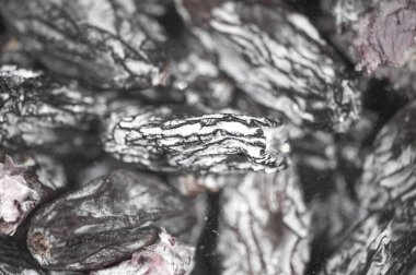 Siyah üzümlerin zengin dokusunu ve lezzet potansiyelini keşfedin. Her ısırığın doğal tatlılığını tat. Pişirmek, atıştırmak ya da en sevdiğiniz tariflere eklemek için mükemmel..