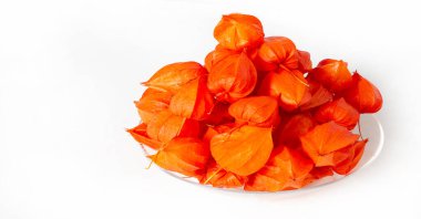 Physalis sidik torbası kirazı, Çin feneri, Japon feneri, Çilek Çileği, Japonya, parlak ve fener benzeri meyve kapları Bon festivalinin geleneksel bir bölümünü oluşturur.