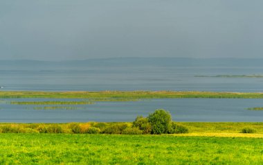 Yaz manzarası. Dünyanın Avrupa bölgesindeki bir nehir. Güneşli sıcak bir gün. Yeşil ağaçlar, çimenler. Mavi gökyüzü küçük bir bulut örtüsüyle.