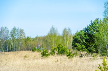 Doğanın güzelliğinin bir orman ortamında uyandığını hisset. Bahar geldiğinde yenilenme ve büyüme hissini hissedin. Kasvetli gökyüzünün ve parlak renklerin tadını çıkar..