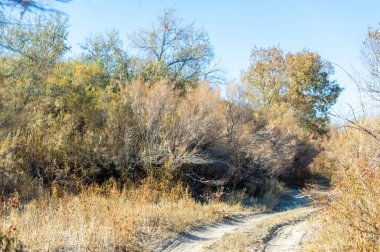 Toprak bir yolculukta sonbaharın nefes kesici güzelliğini tecrübe edin. Gizli harikalar ve nefes kesici çayır manzaraları keşfetmek. Kendini doğanın saf güzelliğine daldır..