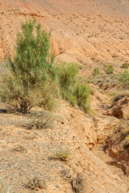 Kendini Kızıl Boguty Dağları 'nın dinginliğine bırak. Büyüleyici günbatımına ve büyüleyici parıltısına tanık olun. Sonsuz olasılıkları ve sonsuz güzellikleri tecrübe et.,