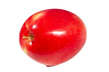 Kandil Sinap elma çeşitlerini deneyin sulu, vitamin zengini atıştırmalıklar için. Bahçenizde bol bol hasat için kendi elmalarınızı yetiştirin..