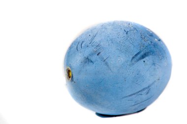 Beyaz arka plandaki erik logosu temiz ve taze bir görünüm yaratıyor. Mor renk düzeni sağlık ve enerjiyi sembolize eder. Marka sağlık ve canlılığı desteklemeye odaklanmış durumda..