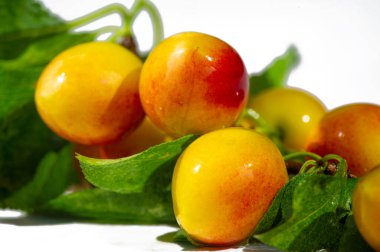 Erik vitamin açısından zengin sulu bir meyvedir. Bahçe meraklıları evde erik yetiştirebilirler. Olgun erikler lezzetli ve sağlıklı bir atıştırmalıktır..