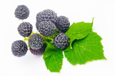 Yüksek miktarda vitamin içeriyor. Vejetaryen diyeti için ideal. Sulu ve olgun siyah ahududu ve böğürtlen. Bu meyveler benzer besin değerlerine sahip aynı gruba ait..