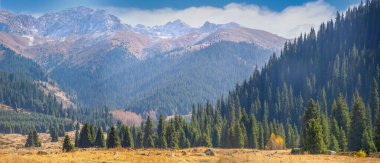 Tien Shan Dağları 'nın nefes kesici güzelliğini tecrübe edin. Kendinizi eski çam ve huş ağaçlarının sükunetine daldırın. Bu unutulmaz yolculukta doğanın ebedi gücünü keşfedin..