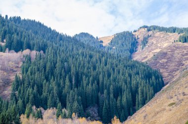 Tien Shan ladin ormanlarının dokunulmamış güzelliğini tecrübe edin. Görkemli dağlarda dolaşın ve kendinizi doğaya daldırın. Doğa Kaşifleri eşsiz bir macera sunuyor.