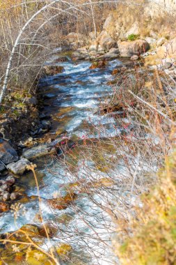 Tien Shan ladin ormanlarının mistik cazibesini tecrübe et. Kendinizi doğadaki parlak sonbahar renklerine daldırın. Maceracı ruhunu serbest bırak ve yeni yükseklikleri fethet.