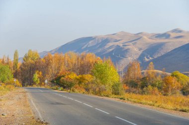 Sonbaharda Tien Shan Dağları 'nın çarpıcı güzelliğini tecrübe edin. Canlı yeşilliklerle ve resimli manzaralarla çevrili olacak. Yılın bu büyüleyici zamanında kendini doğanın büyüsüne bırak.