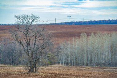 Bereketli Toprak Yerleştirme Tohumları ile başarılı bir hasat için zemin hazırlayın. Özenle işlenmiş tarlalar gelecekteki ekinlerin en iyi şekilde büyümesini sağlar. Sıkı çalışmanızın karşılığını görmenin hazzını yaşayın.