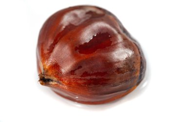 Kestane ağacının karmaşık detaylarının çarpıcı makro çekimi. Kusursuz beyaz bir arka planda mühürlenmiş zarif bir tabiat örneği. Doğanın güzelliğini ve güzelliğini yakından tecrübe et..