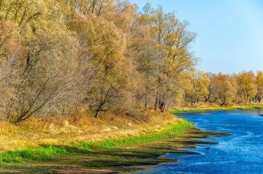 Sonbaharın güzelliğini sakin nehire yansıt. Nehrin derinliği fark edildikçe mevsimlerin değişimine tanık olun. Sığ nehrin kıyısında huzurlu bir anın tadını çıkar.