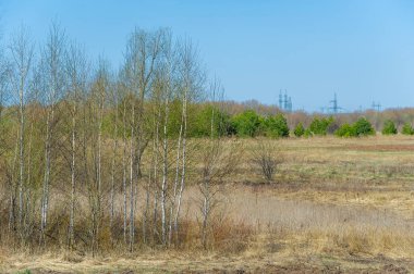 Bahar doğasının güzelliğinin tadını çıkar. Canlı renkler ve yaklaşan fırtına bulutları arasındaki kontrastın tadını çıkar. Kış uykusundan sonra doğanın uyanışıyla yenilenmiş hissediyorum..