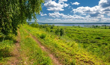 Yaz su çayırları, nehir taşkın ovaları, dağdan çekilmiş fotoğraflar. Nehrin kenarında yemyeşil çimenler, çam, huş ağacı, fındık ağacı yetişir. sıcak yaz günleri